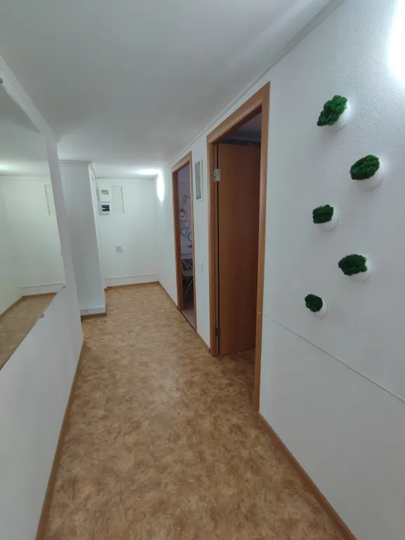 Апартамент вблизи университетов