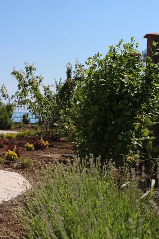 Квартира Квартира Апартамент: доступный люкс с выходом в живописный двор — Курортное (Феодосия)