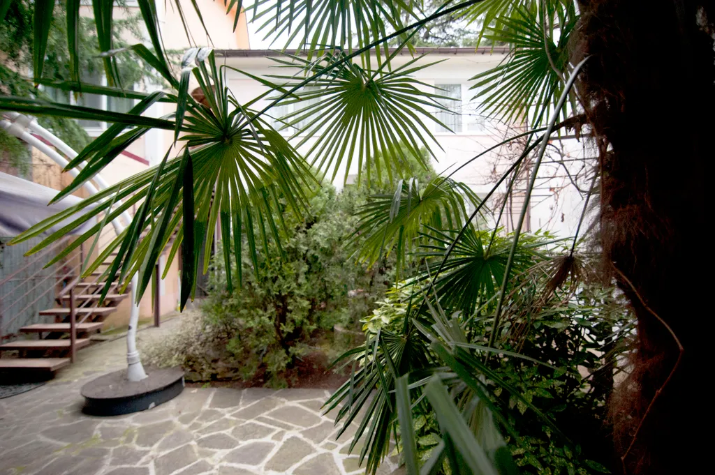 Уютные апартаменты у моря