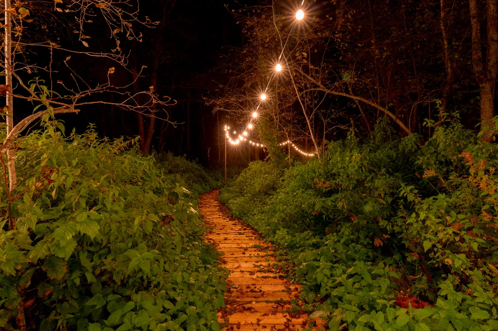 Дом Барнхаус