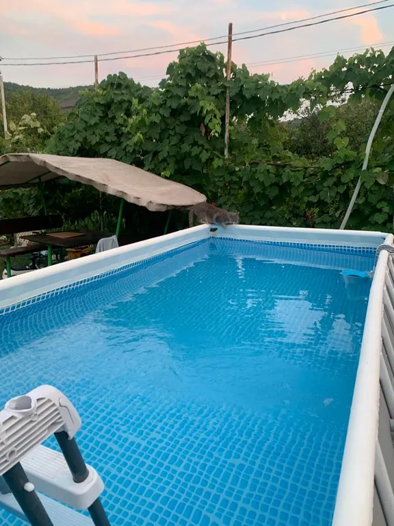 Квартира Этаж под ключ — аренда посуточно в Архипо-Осиповка