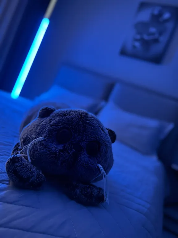 Новая уютная квартира в ЖК Российский