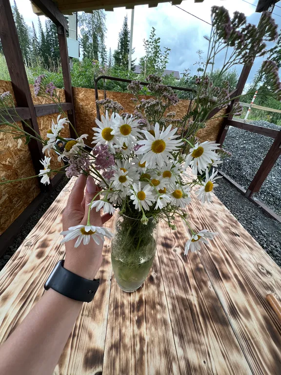 Коттедж У Шинкаря