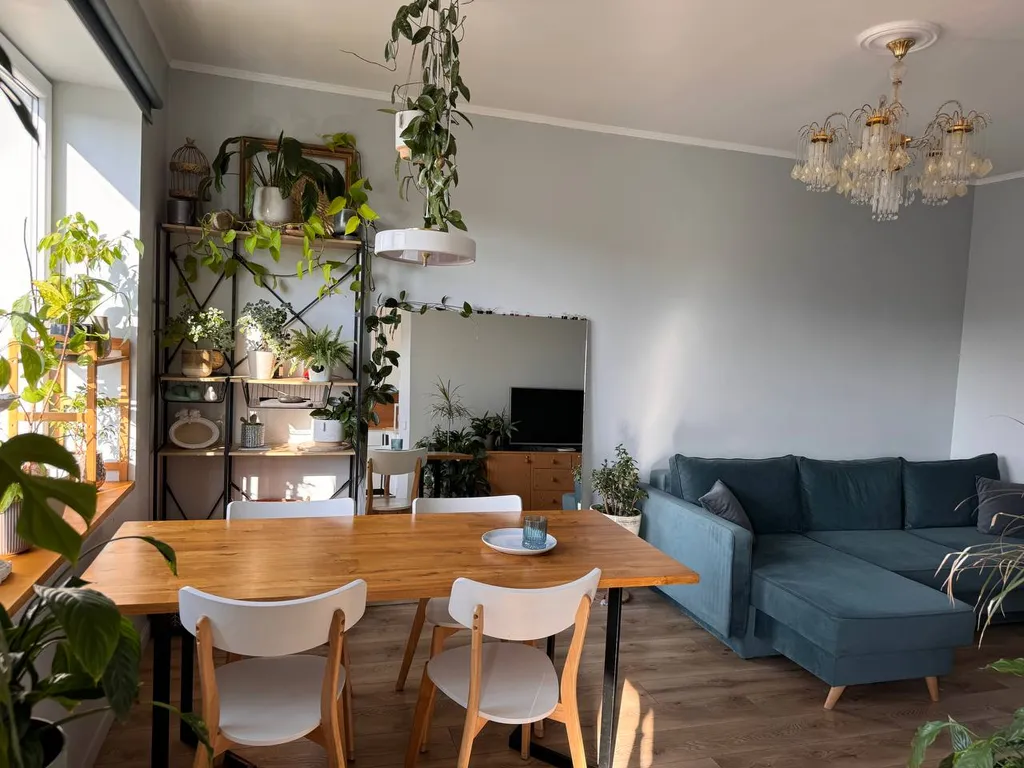 Квартира Уютная квартира — Калининград