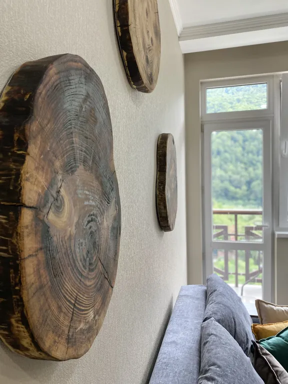 Евродвухкомнатный апартамент с балконом и видом на пик Аибга