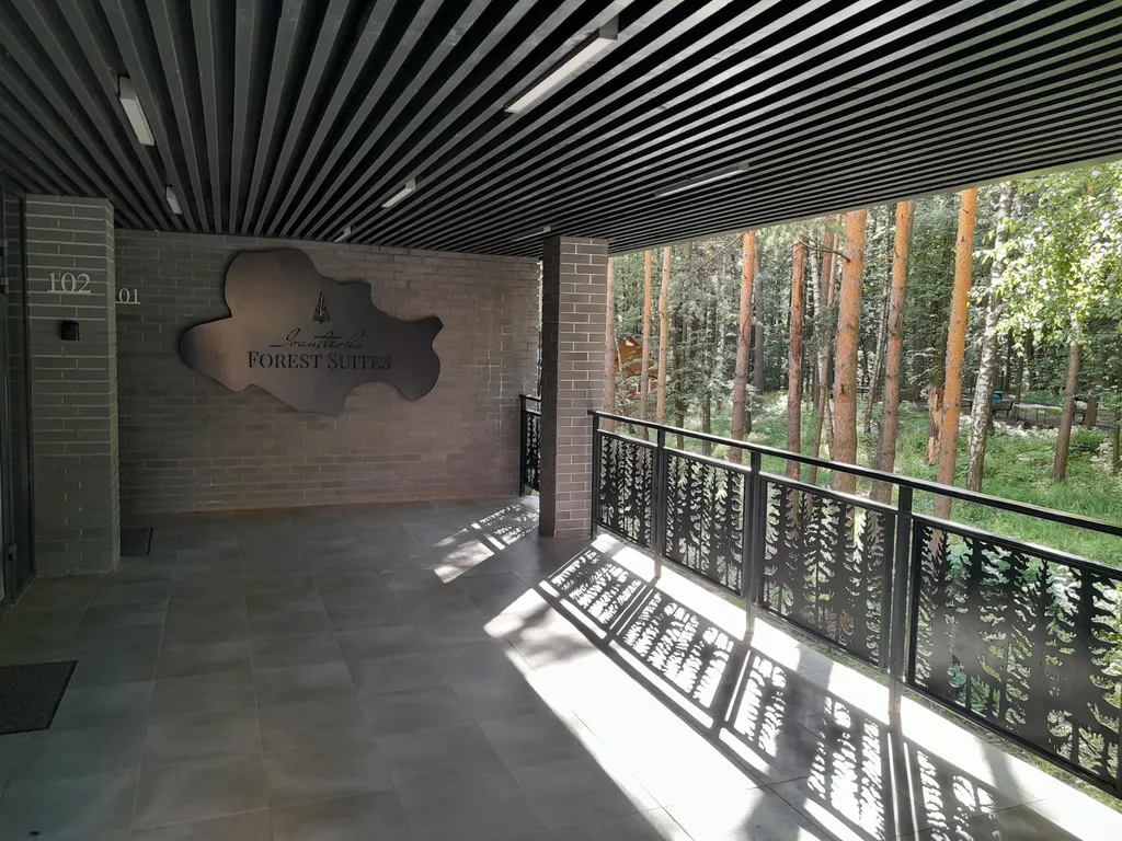 Студия в сосновом бору