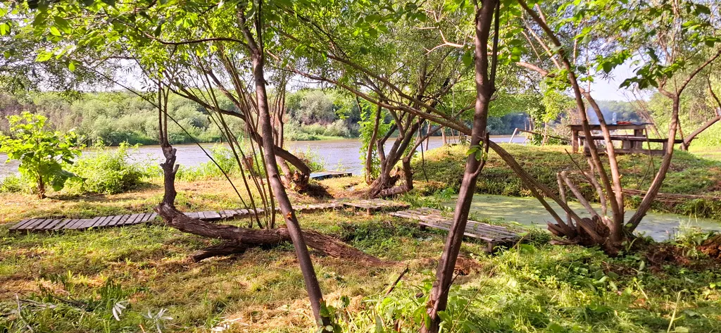 Дом с кораблем на берегу реки
