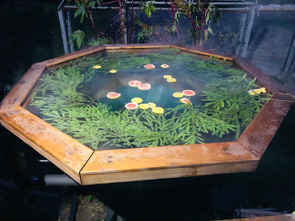 Уютный дом для отдыха всей семьей или с друзьями, отдых в деревне