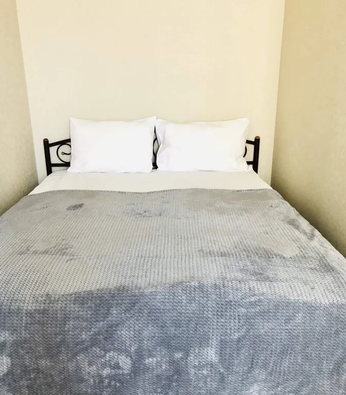 Квартира на Парнасе