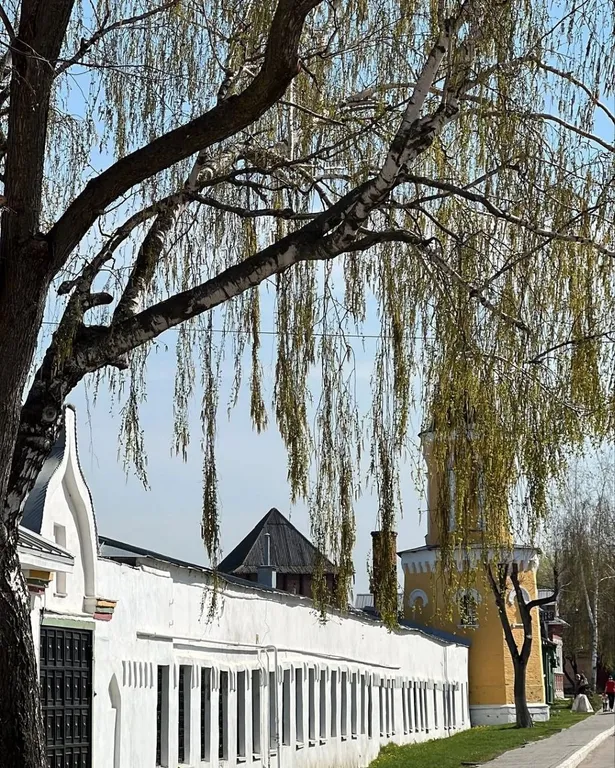 Чистая и уютная квартира в исторической части города