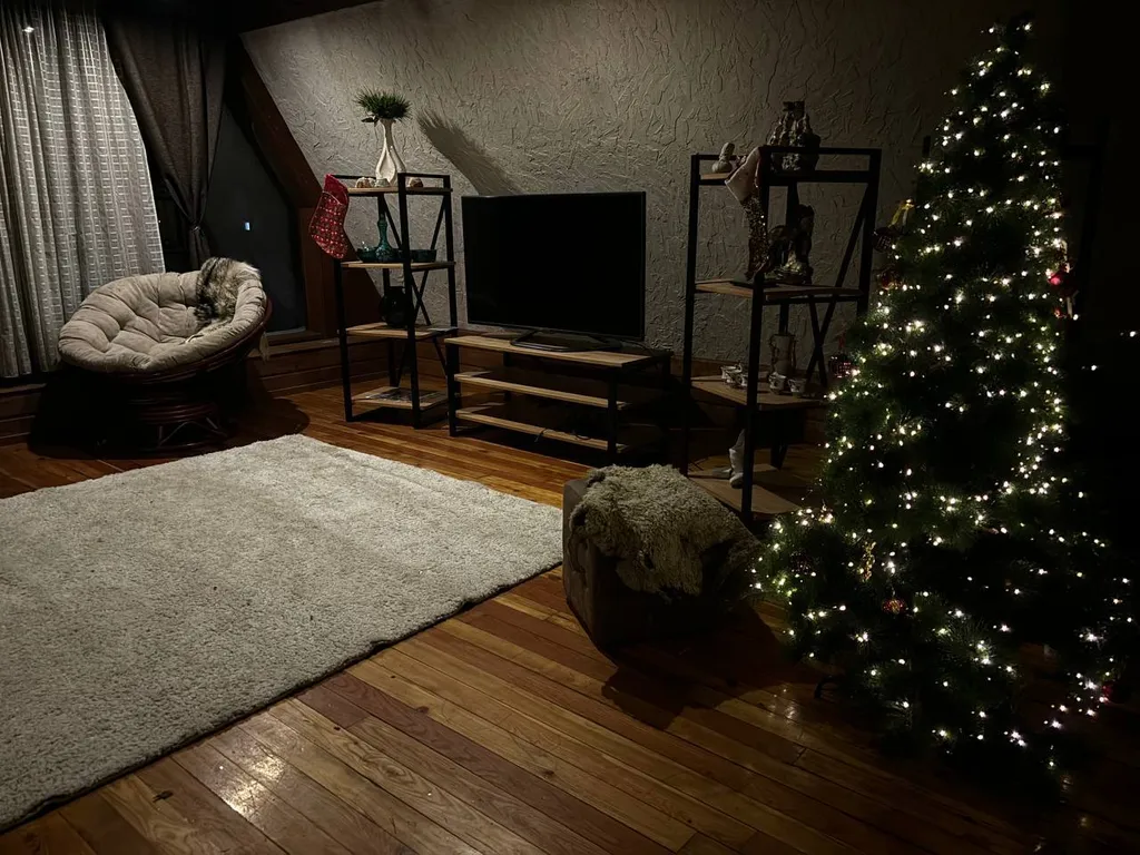 Дом для большой компании