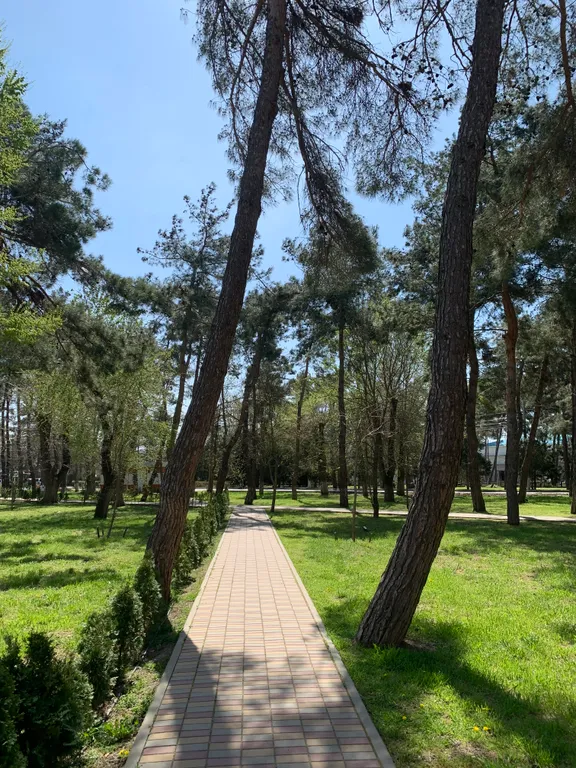 Квартира VIP Квартира в ЖК Кавказ с видом на море — Анапа