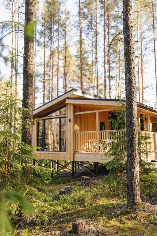 Коттедж Домик в лесу с панорамными окнами — аренда посуточно в Медвежьегорск