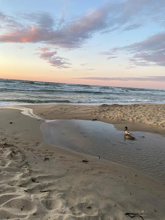 Квартира Квартира на берегу Балтийского моря — Светлогорск