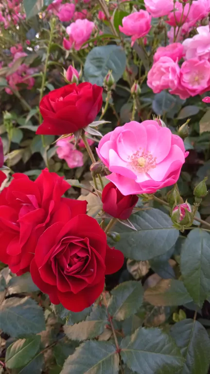 Замечательная студия