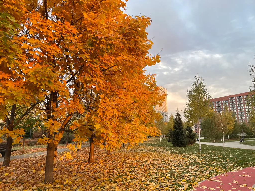 Квартира 1-комнатная Квартира — Москва