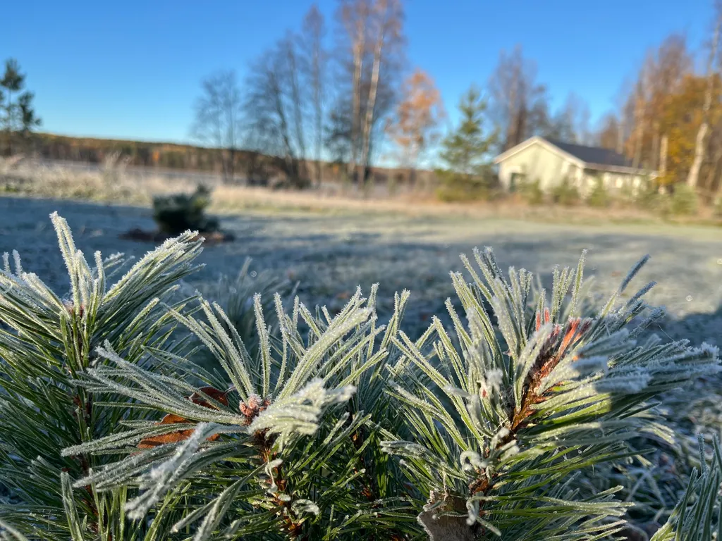 Домик в Карелии на берегу озера