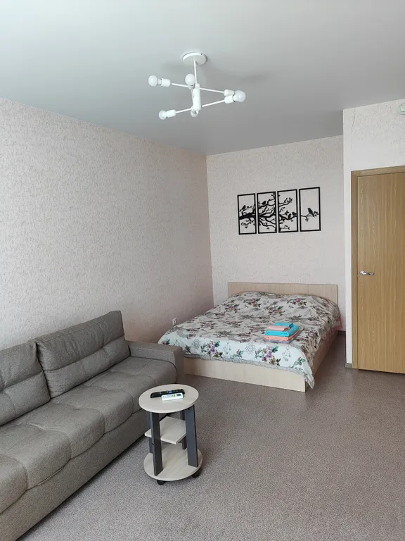 Квартира с прекрасным видом на волгу