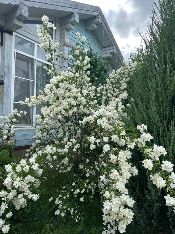 Гостевой дом в заповедной зоне Поленово