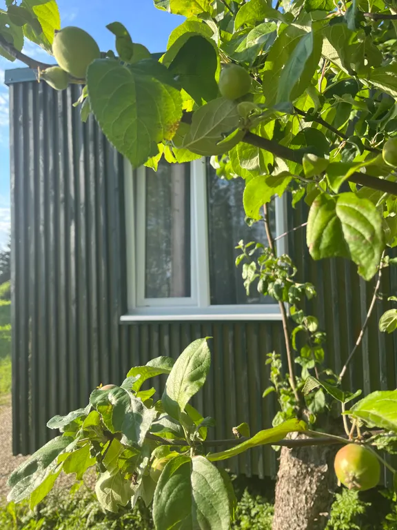 Глэмпинг - Наш Домик