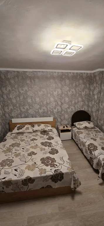 В тени киви