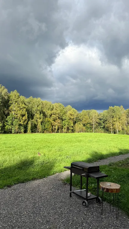 Домик с панорамной ванной в лесу