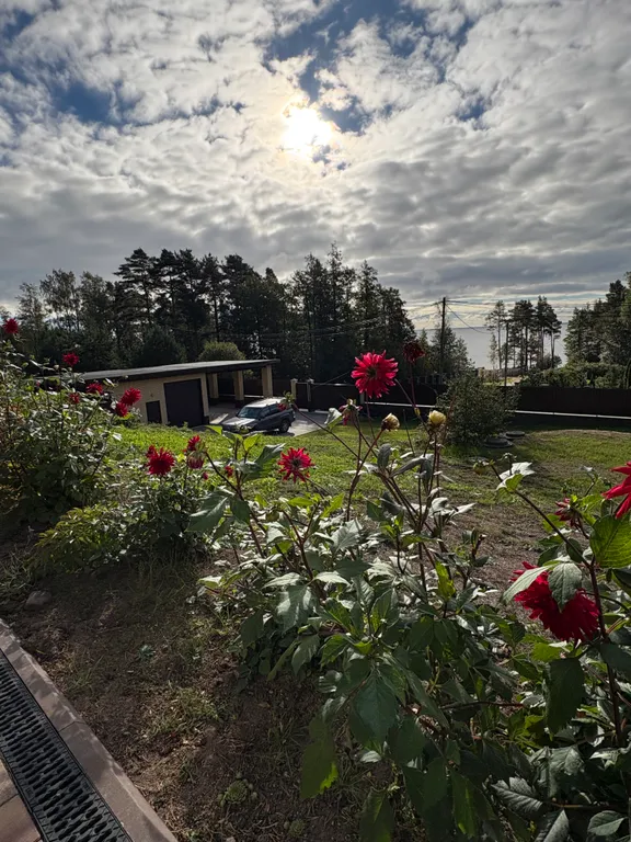 Дом на берегу Финского залива