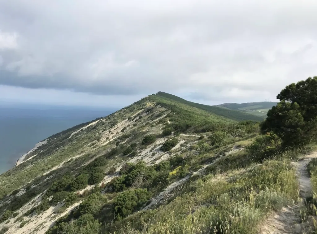 Квартира Двухкомнатная квартира у моря — Варваровка