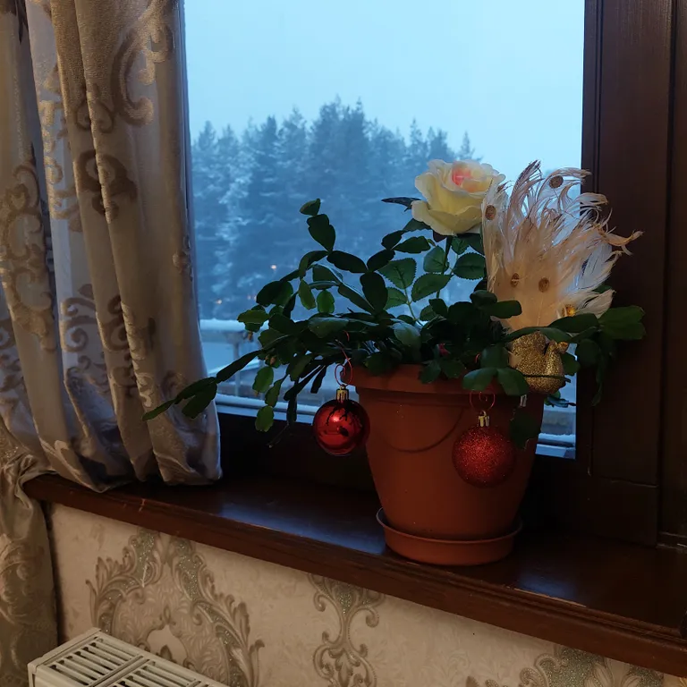 Уютная 3-комнатная квартира в центре