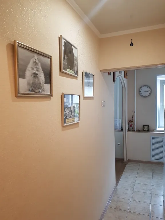 Квартира Уютная квартира в самом центре — Петрозаводск