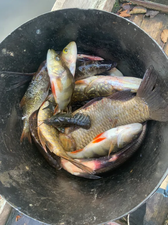 Агроэкоусадьба Отблеск Эдема