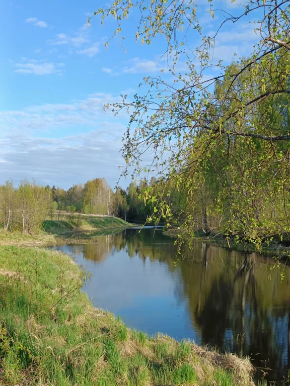 Дом Заречье