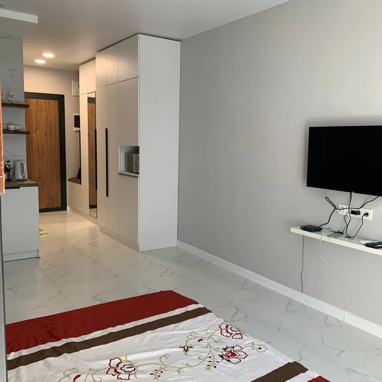 Уютная студия в центре