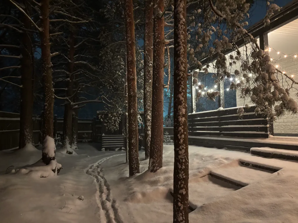 Уютный дом, баня на дровах, банный чан в сосновом бору Петрозаводска