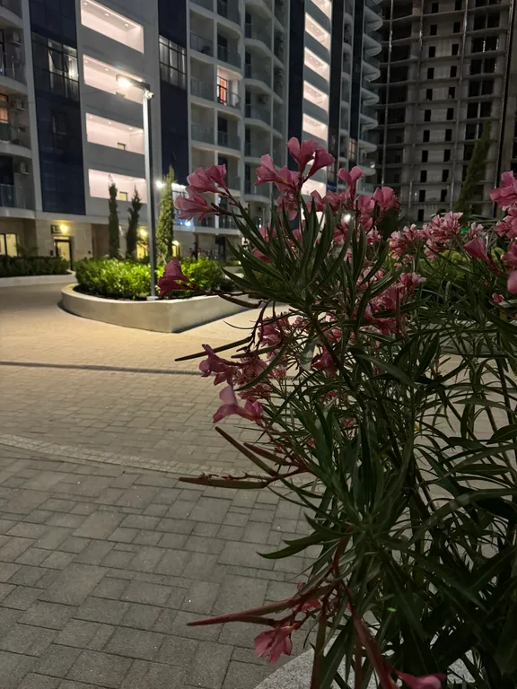 Квартира с видом на море