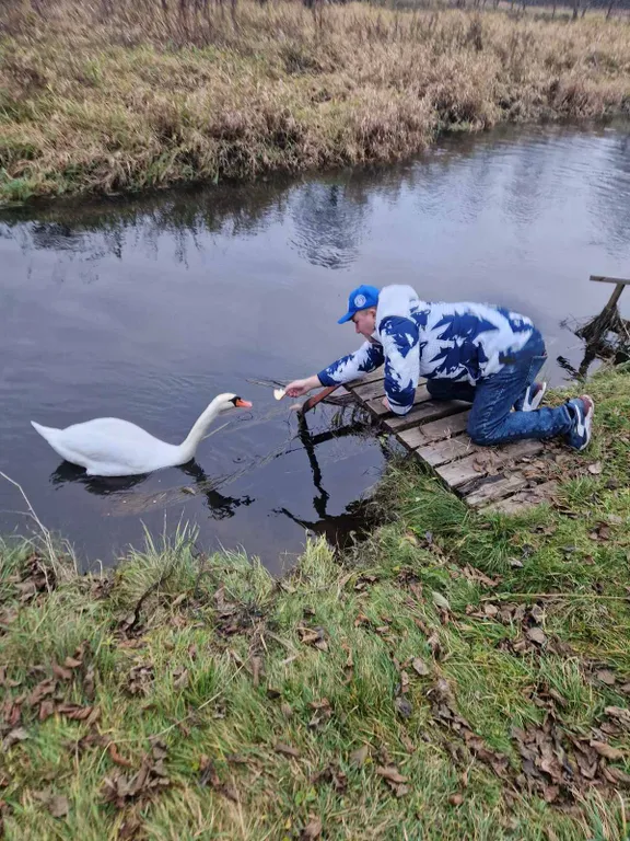 Хутор Избушка на опушке леса, возле реки
