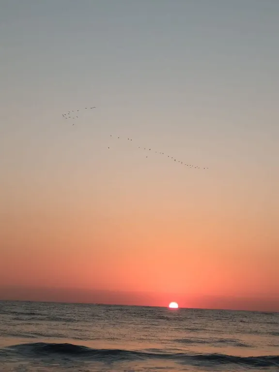 Квартира Квартира с великолепным видом на море — Махачкала