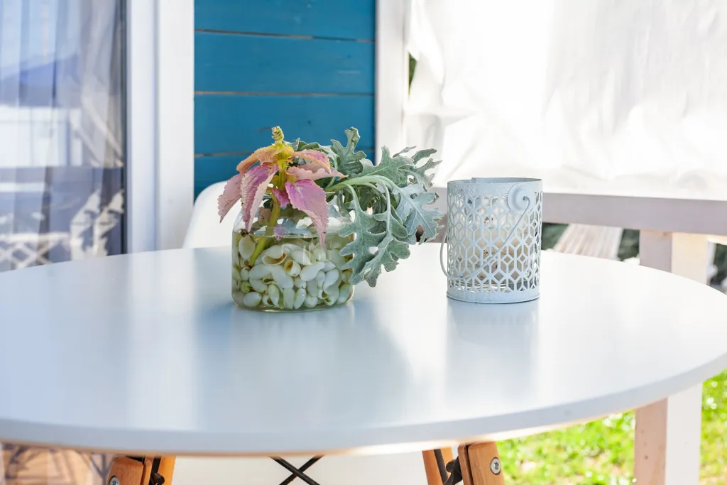 Номер Барбарисовый