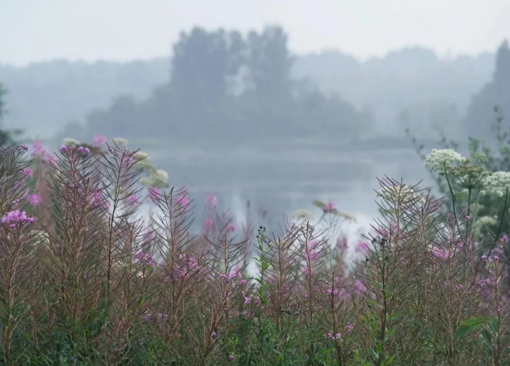 Дом у озера Мстижа