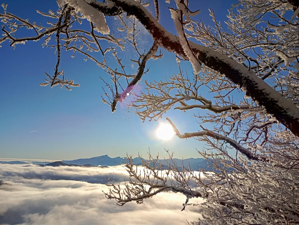 Шале с видом на лес и горы