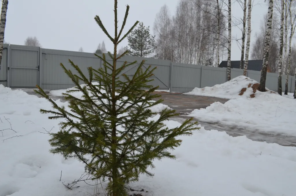 Дом в стиле A-frame