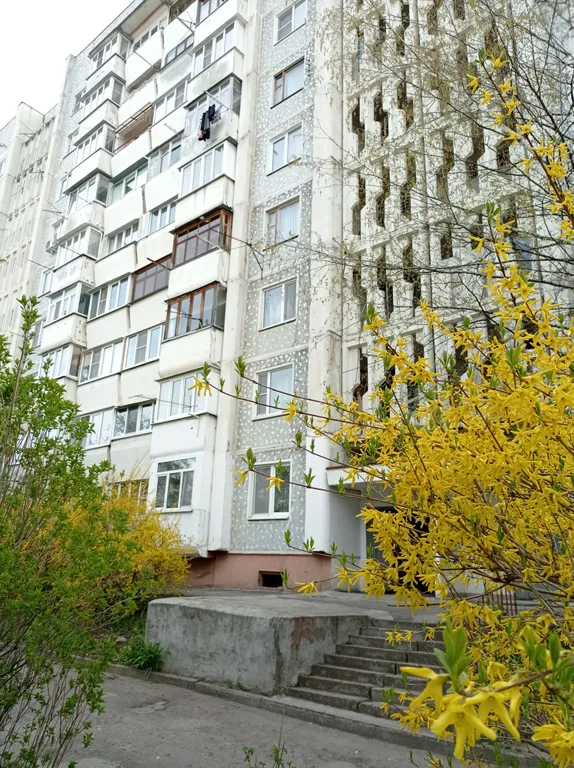 Отличная квартира для отдыха