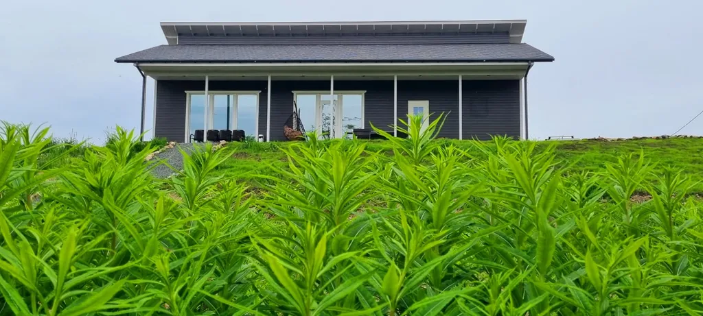 Отдых на берегу озера с видом на горнолыжный курорт и сауной в доме