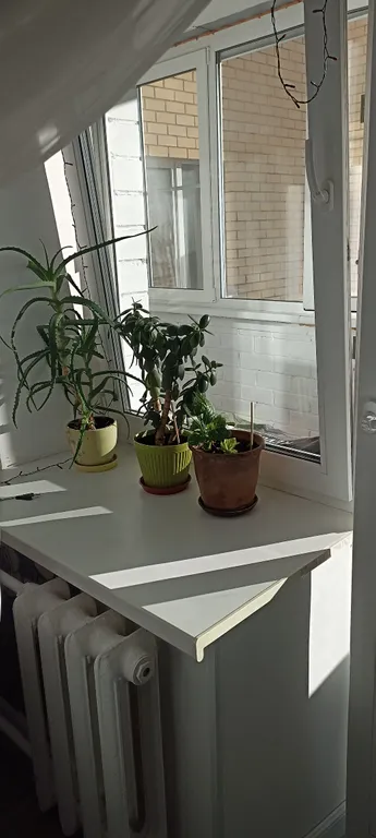 Современная квартира с нестандартной планировкой у Ленты