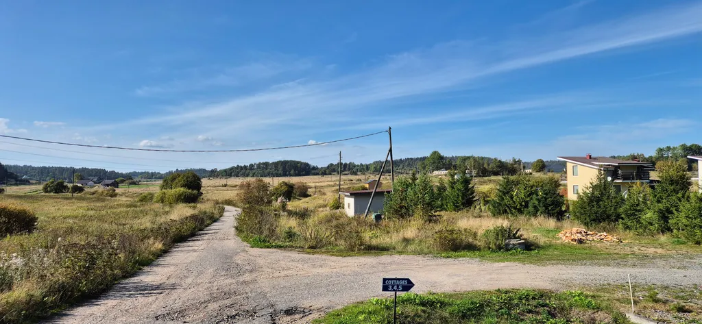 Куркиёки у леса