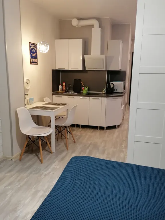 Уютная студия в центре города