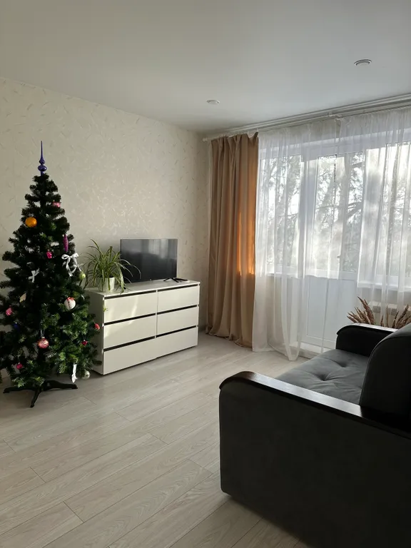 Квартира с видом на ели