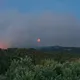 Одина