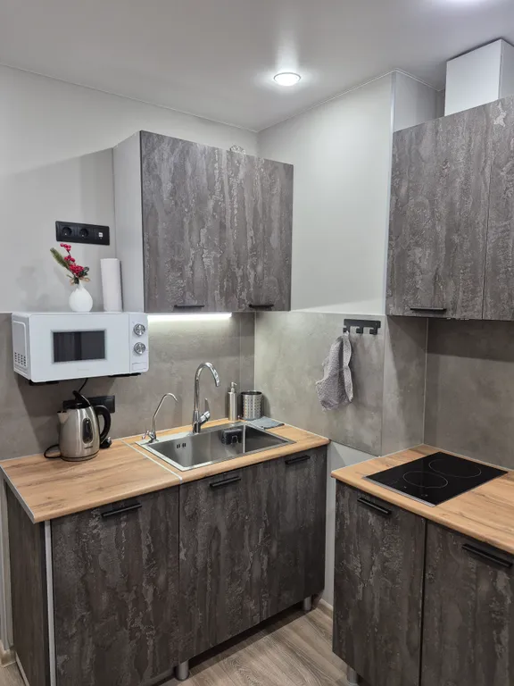 Уютная квартира рядом с ресторанами Тундра и Сампо