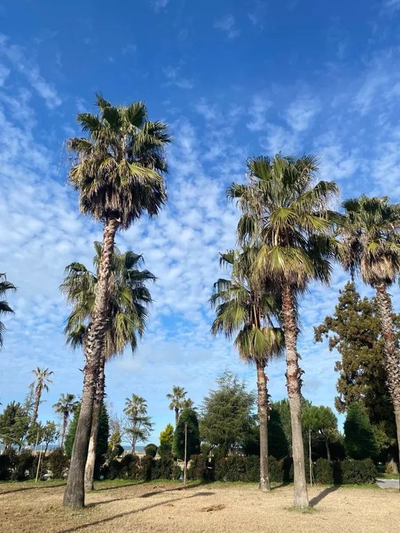 Квартира Квартира Студия в 100 метрах от моря — Батуми